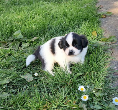 Billy
