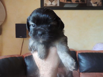 Tobby